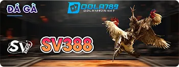 Đá gà Dola789