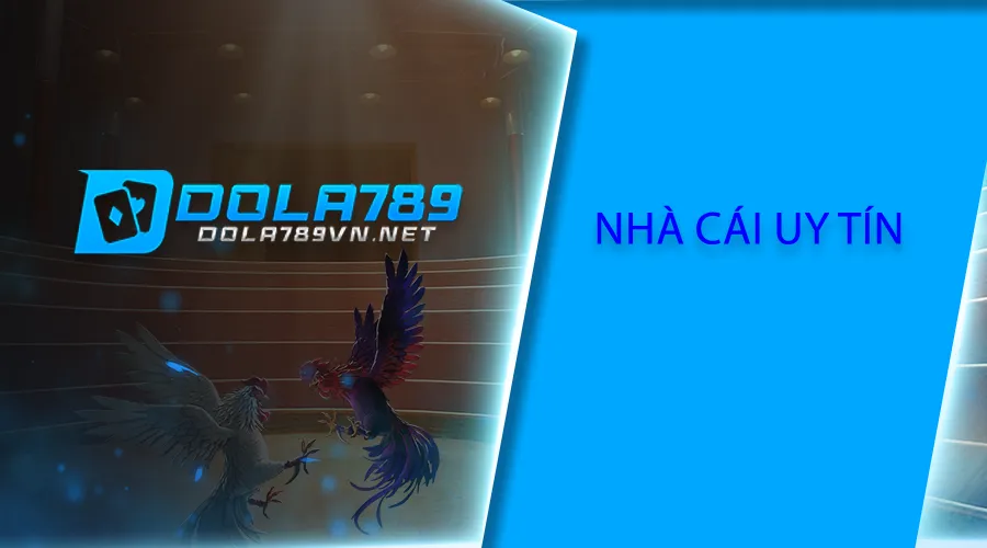 Nhà cái Dola789 uy tín tại Việt Nam